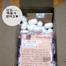[ 봉마땡 3rd 이벤트 후기 ♥]