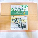선화농원 | 야생화 꽃 주문 택배 후기 가성비 추천 농원
