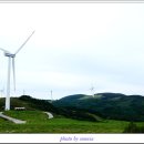 고산목장 이미지