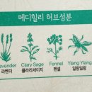 메디세이지