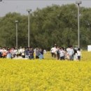 개나리공원4 이미지