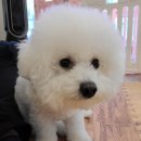 오늘도 너에개 이미지