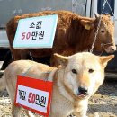 옳은농부 이미지