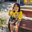 신양초교 | 김포페이 꽈배기맛집 스마일찹쌀꽈배기 양곡점 재방문 후기