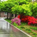 황토현권역 녹두랑시루랑마을 이미지