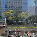 맑은내 작은도서관 | 서울 야외도서관 추천 | 청계천 책읽는 맑은 냇가 후기