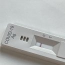 월드컵세란약국 | 가족이 코로나에 확진됐을 때 :: 대전 선별진료소 / 밀접접촉자 PCR 검사 / 고위험군 확진 / 자가격리