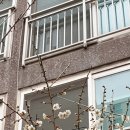 교하 청석 스포츠센타 이미지