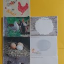 엄마의 그림책 놀이 이미지