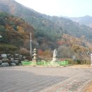 양양 서림사지 석조비로사나불 좌상 이미지