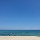 진리와바다 이미지