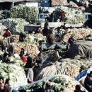 장전상가시장 이미지