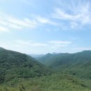 은티농장 이미지