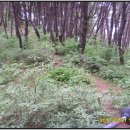 성재산성 Daum카페