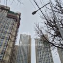 프리미엄공인중개사사무소 이미지