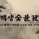 고려숯불갈비 네이버블로그