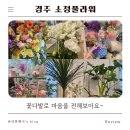 서부동행정복지센터 | 경주시내꽃집 소정풀라워 방문후기 | 꽃다발로 가족에게 선물해요