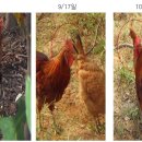 성진동물병원 이미지