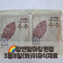 산호동503 | 맘앤맘마창원점-3월8일(화)이유식재료&amp;이유식