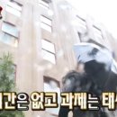 플로르민 네이버블로그