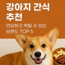 오마이펫 | 강아지 간식 추천 : 안심하고 먹일 수 있는 브랜드 TOP 5