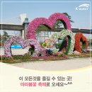 아라봄