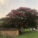 역전할머니맥주대곡점 이미지