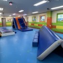 한국체대 꿈나무 태권도장 이미지