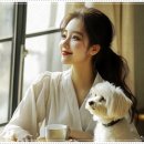 양생한의원 네이버블로그