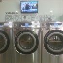 원당세탁 이미지