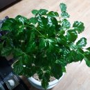 시온재가복지센터 이미지