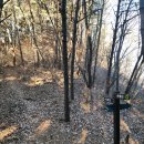 악견산등산로 이미지