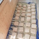 드림아이유치원 이미지