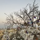 그린승마랜드 | Day4-6 ② 카파도키아 투어 일몰 승마투어 | 그린투어 | 레드투어 : 후기 / 예약방법 / 차이점 / 준비물