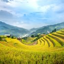 도림사계곡 이미지