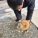 홍천소방서(팔봉119안전센터)