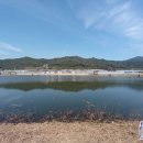 성주소류지 이미지