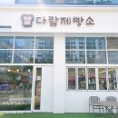 다람제빵소 이미지