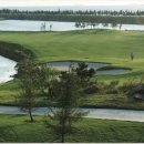 비아피 클럽 이미지