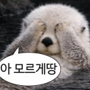 초원꼼장어 네이버블로그