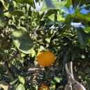 녹산2농장 이미지