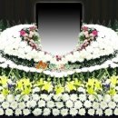 화인꽃프라자 - 성남시 수정구 수정로171번길 10 | 화인꽃프라자
