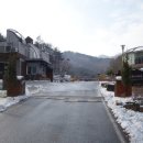 대야산자연휴양림 이미지