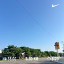 김가김밥나라 | [우다다다 일상] 7월 월간 기록, 우리 발밑엔 온통 푸른빛인 걸