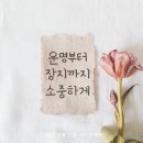 바로콜상조