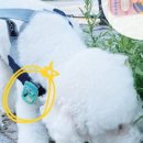 안녕슈퍼 이미지