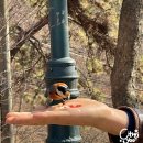 덕장로 | 의왕 청계산 자락 청계마을 임장기, 청계사, 청이당, 청계산맑은숲공원 주차