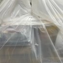 스시앤도그 이미지