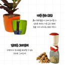 (주)오션인터내셔널
