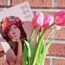 해화캘리